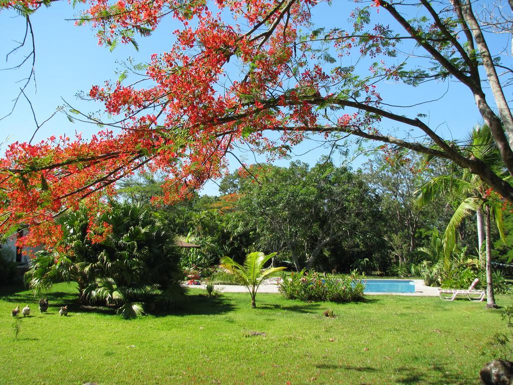 Pensión Quinta Celeste